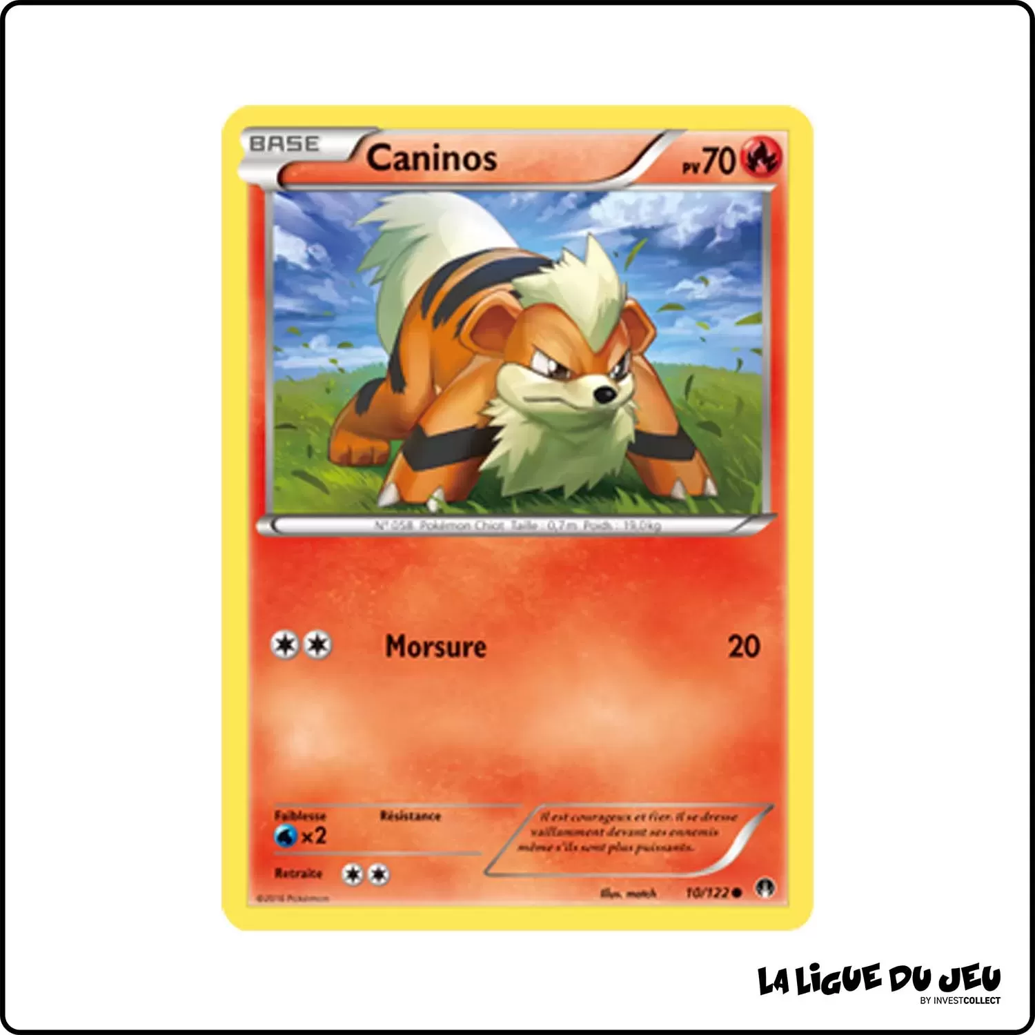 Commune - Pokemon - Rupture Turbo - Caninos 10/122 Pokemon Company - 1