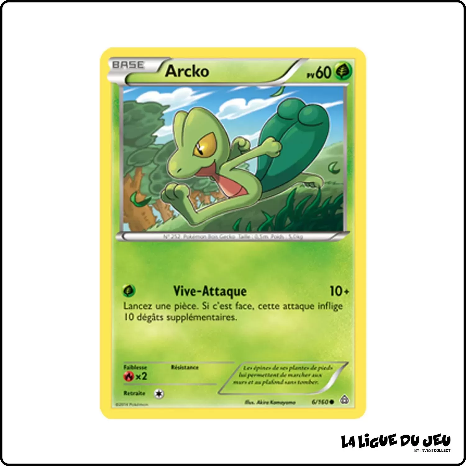 Commune - Pokemon - Primo Choc - Arcko 6/160 Pokemon Company - 1