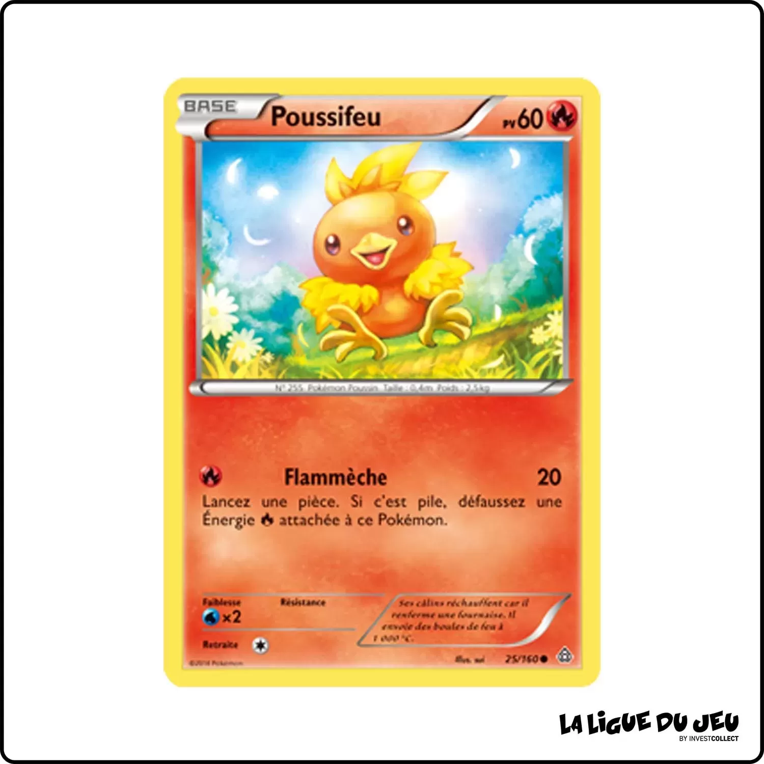 Commune - Pokemon - Primo Choc - Poussifeu 25/160 Pokemon Company - 1