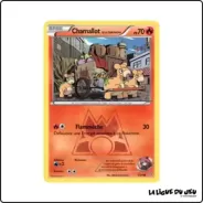 Commune - Pokemon - Double Danger - Chamallot de la Team Magma 1/34 Pokemon Company - 1