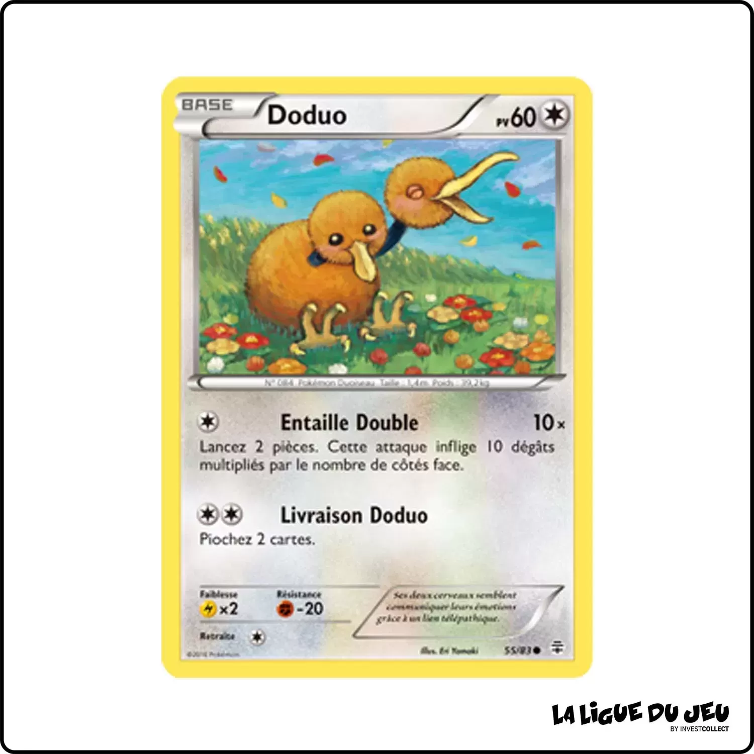 Commune - Pokemon - Générations - Doduo 55/83 Pokemon Company - 1