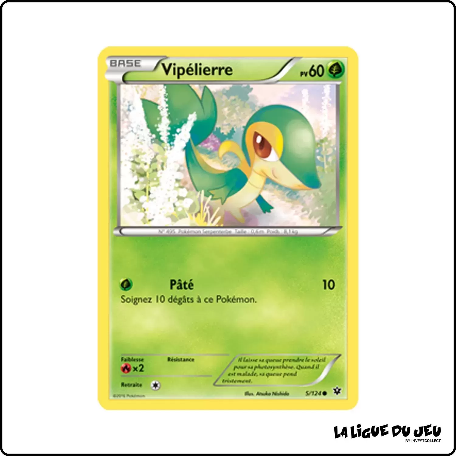 Commune - Pokemon - Impact des Destins - Vipélierre 5/125 Pokemon Company - 1