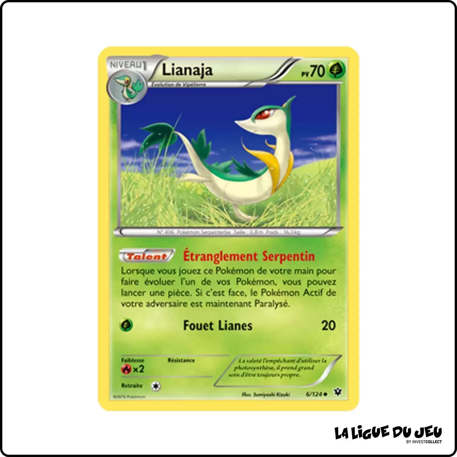 Peu commune - Pokemon - Impact des Destins - Lianaja 6/125 Pokemon Company - 1