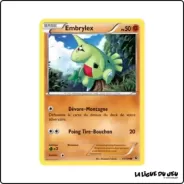 Commune - Pokemon - Impact des Destins - Embrylex 41/125 Pokemon Company - 1