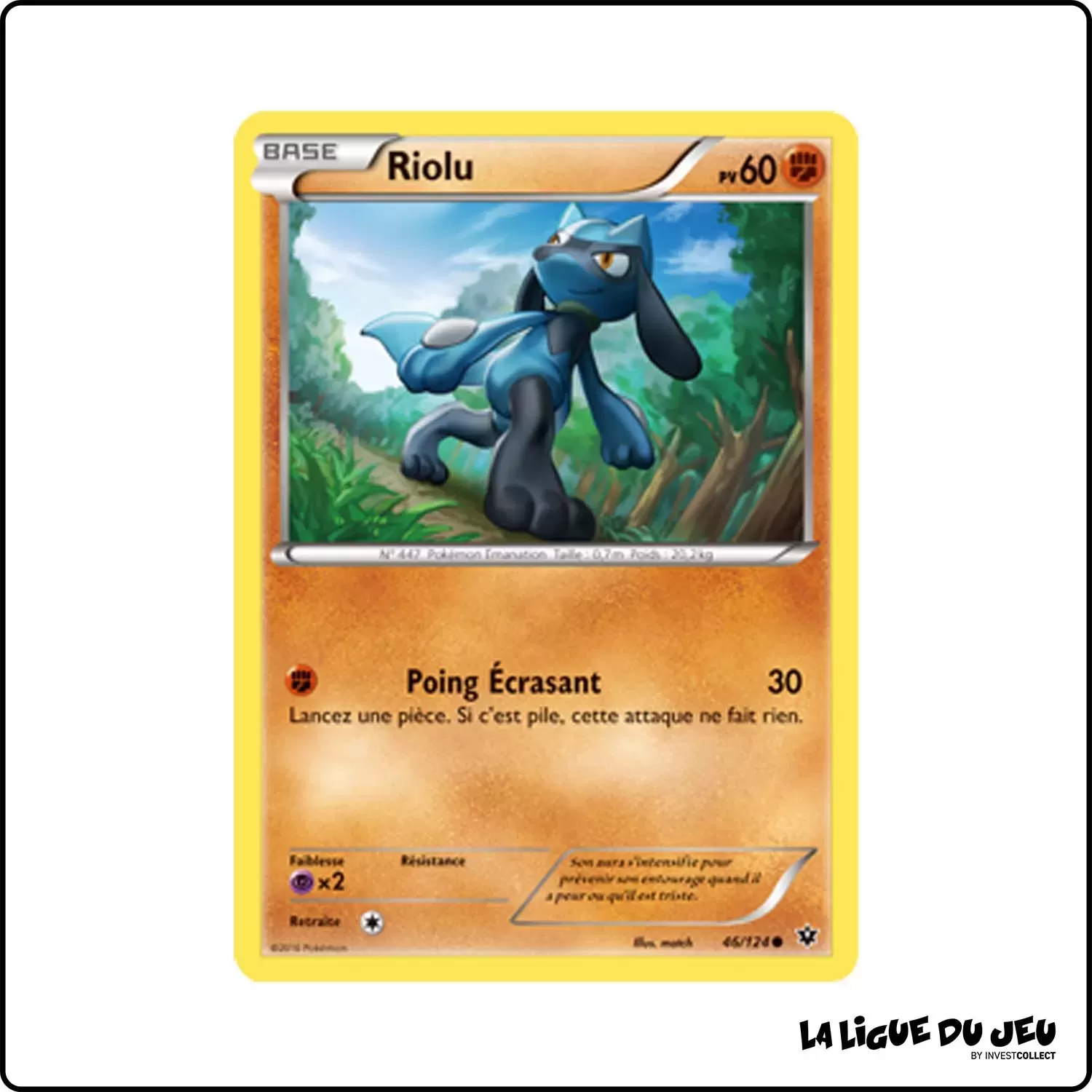 Commune - Pokemon - Impact des Destins - Riolu 46/125 Pokemon Company - 1