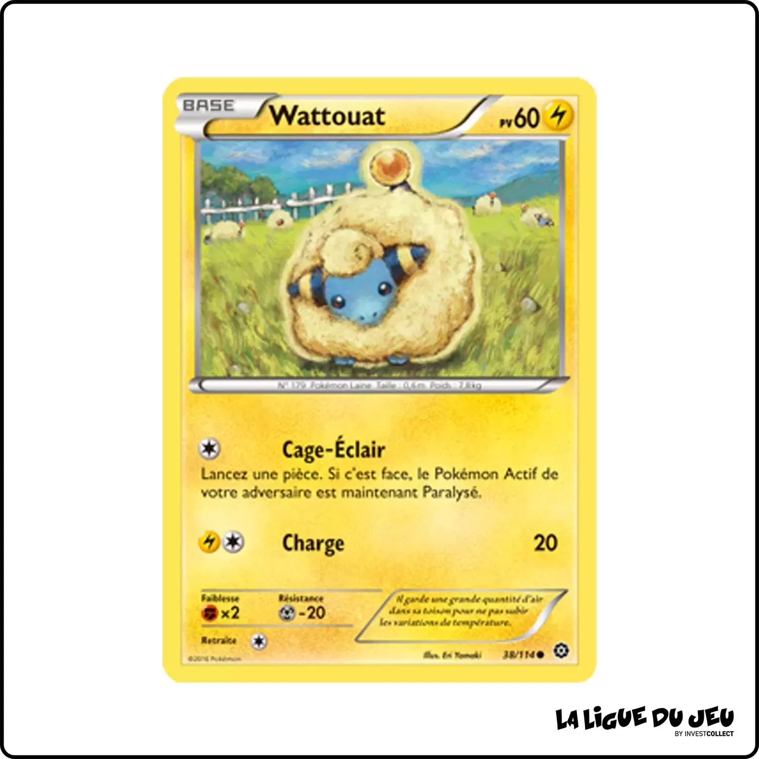 Commune - Pokemon - Offensive Vapeur - Wattouat 38/116 Pokemon Company - 1