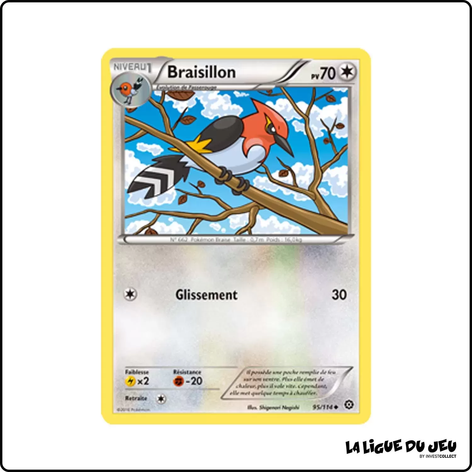 Peu commune - Pokemon - Offensive Vapeur - Braisillon 95/116 Pokemon Company - 1