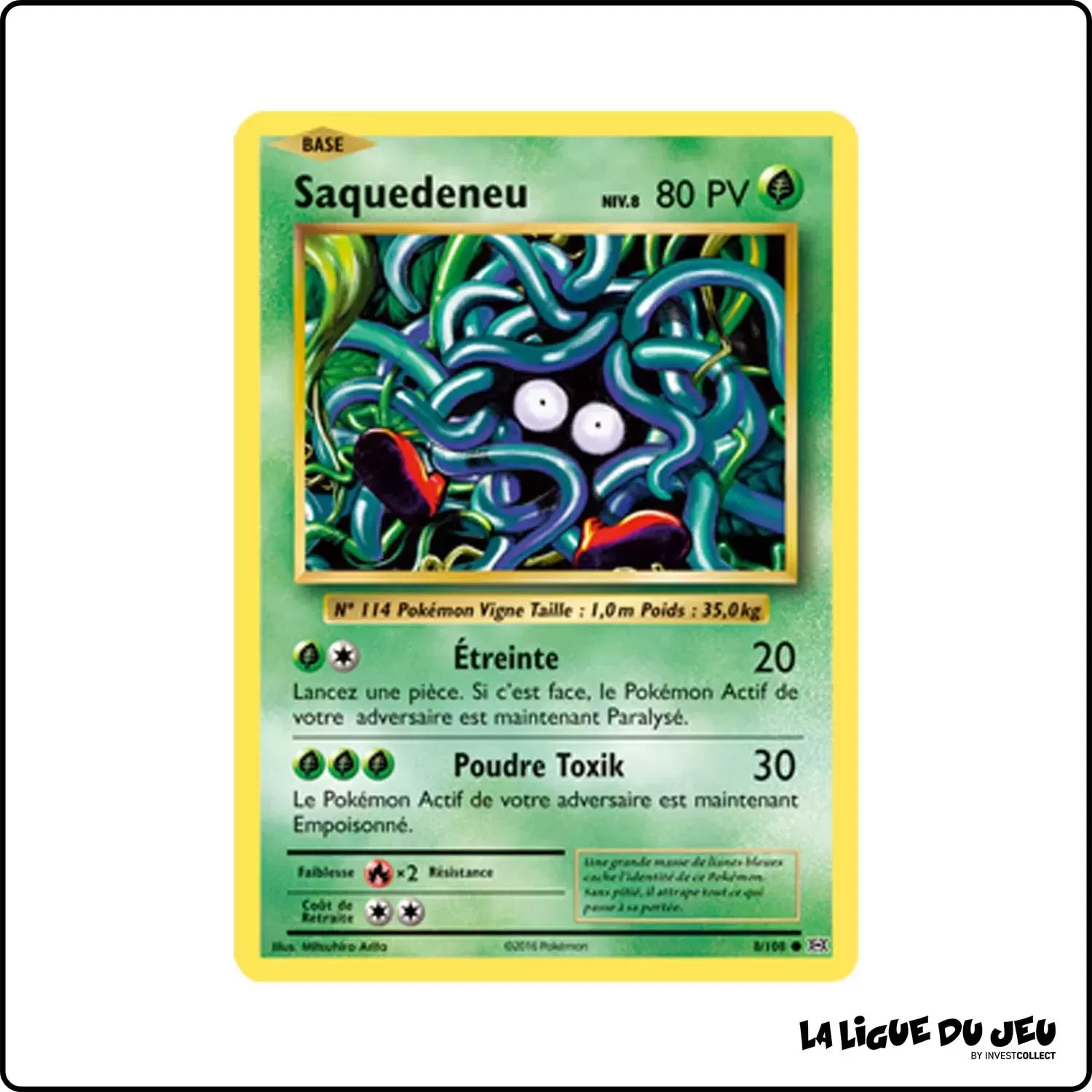 Commune - Pokemon - Évolutions - Saquedeneu 8/113 Pokemon Company - 1