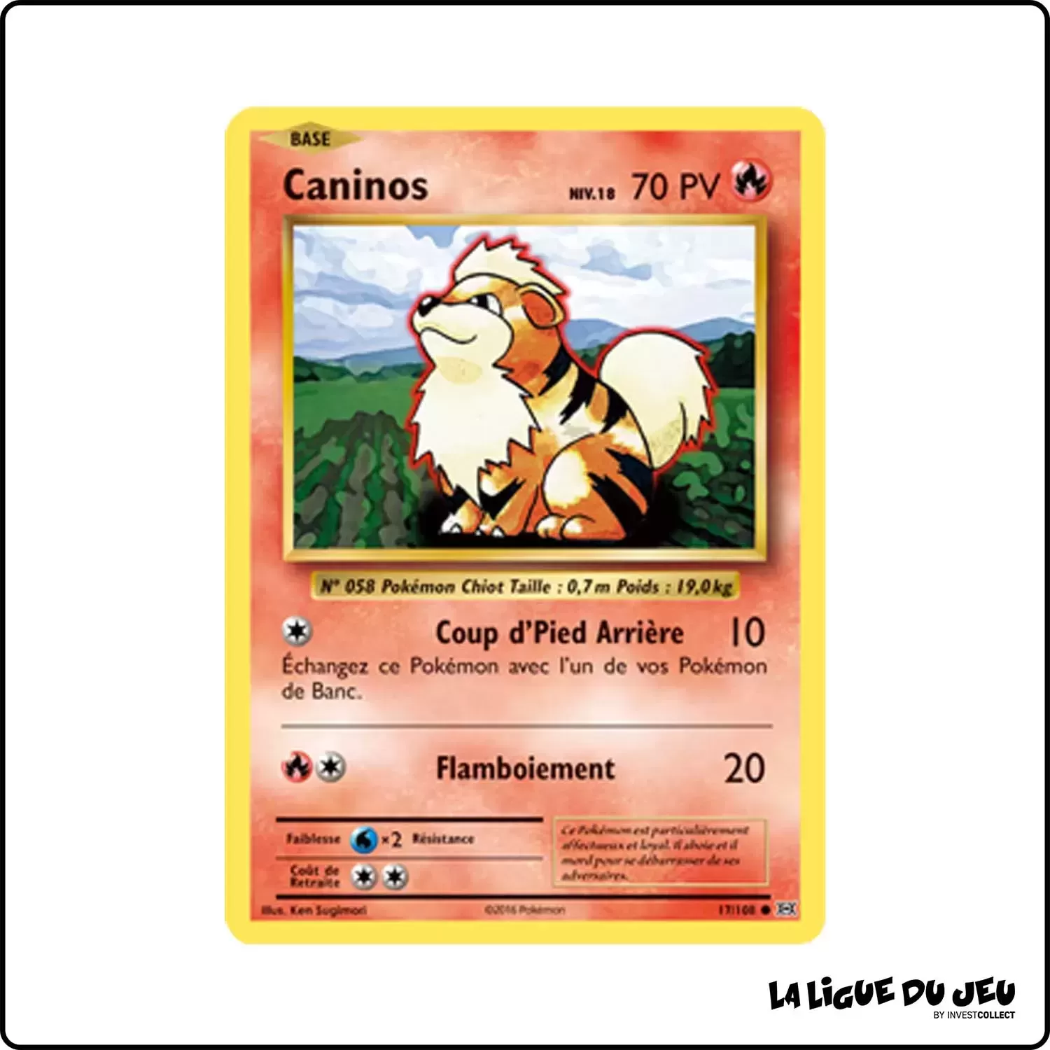 Commune - Pokemon - Évolutions - Caninos 17/113 Pokemon Company - 1