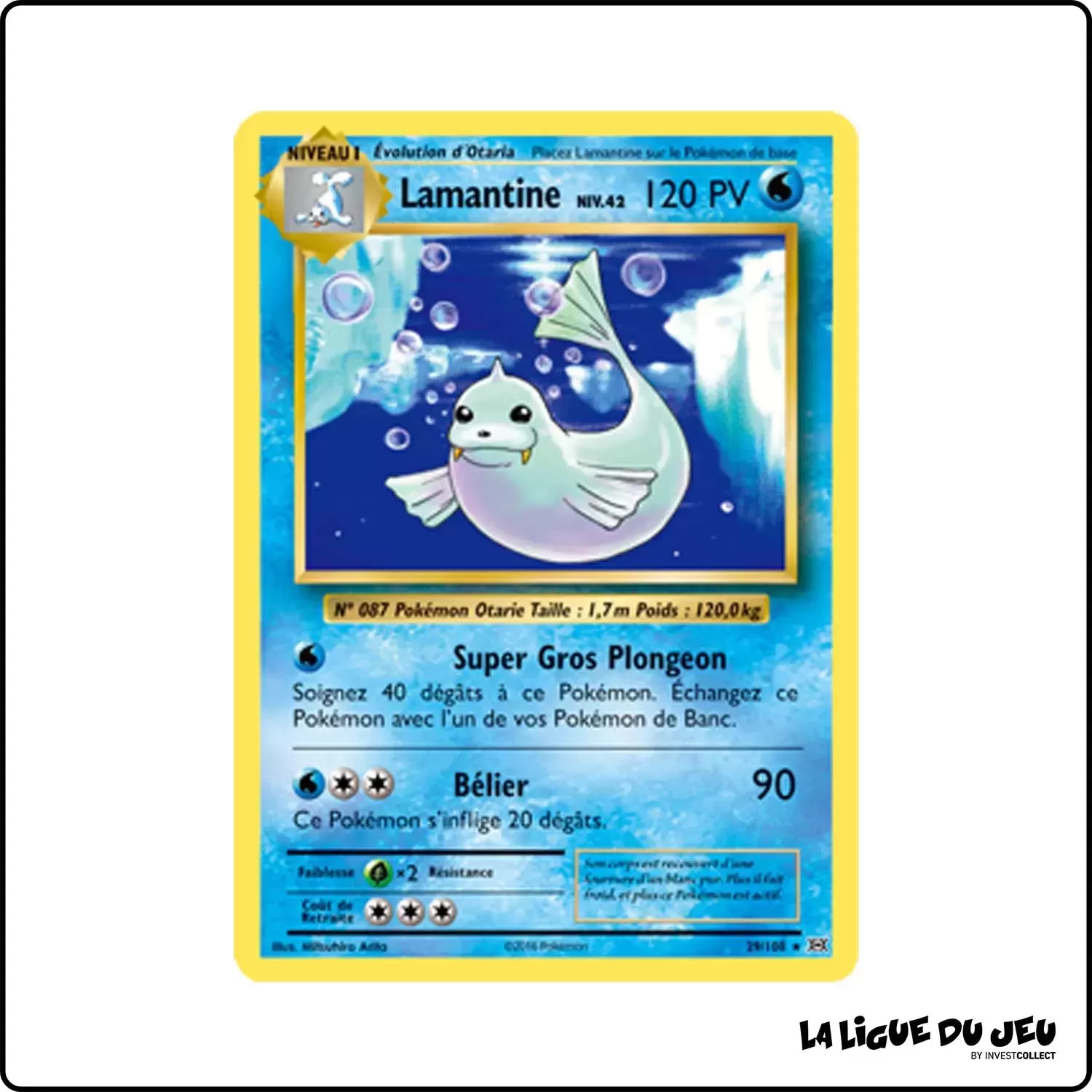 Rare - Pokemon - Évolutions - Lamantine 29/113 Pokemon Company - 1