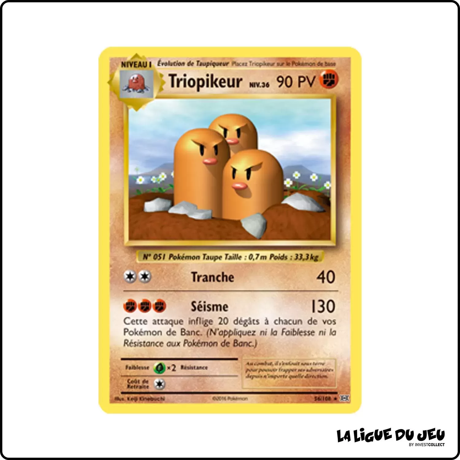 Rare - Pokemon - Évolutions - Triopikeur 56/113 Pokemon Company - 1