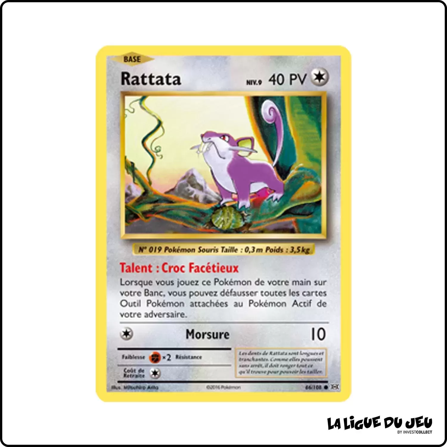 Commune - Pokemon - Évolutions - Rattata 66/113 Pokemon Company - 1