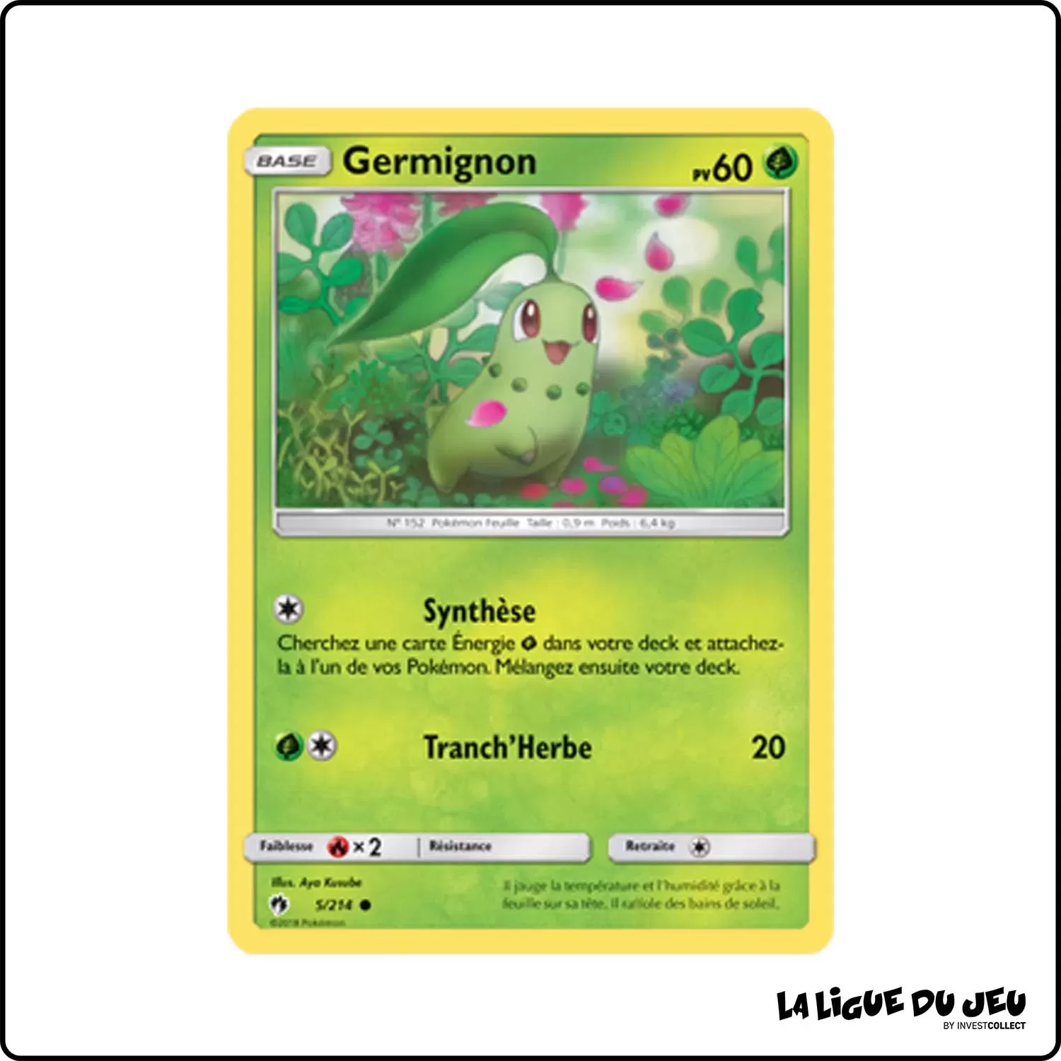 Commune - Pokemon - Tonnerre Perdu - Germignon 5/214