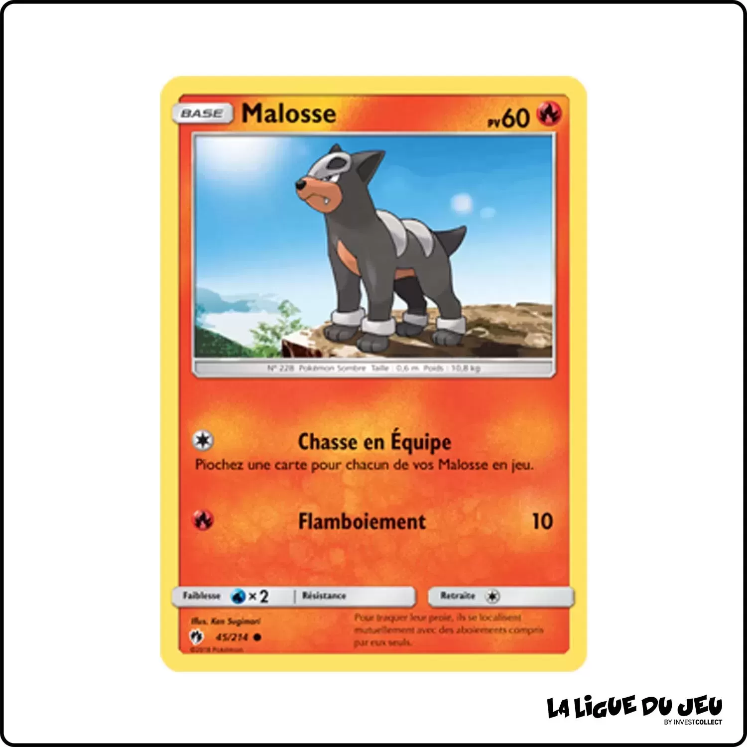 Commune - Pokemon - Tonnerre Perdu - Malosse 45/214