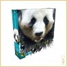 Gestion - Extinction - Panda Matagot - 1
