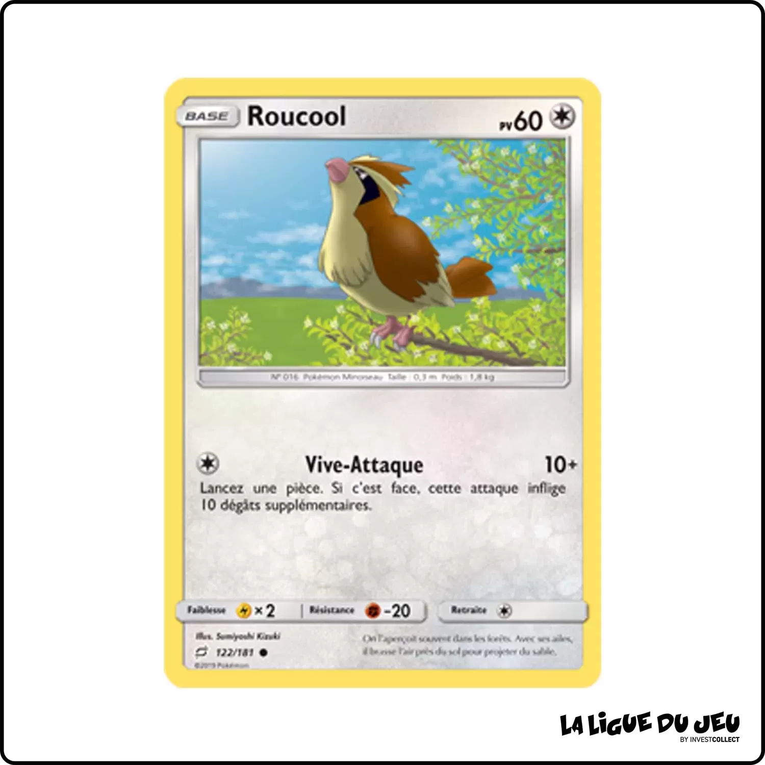 Commune - Pokemon - Duo de Choc - Roucool 122/181