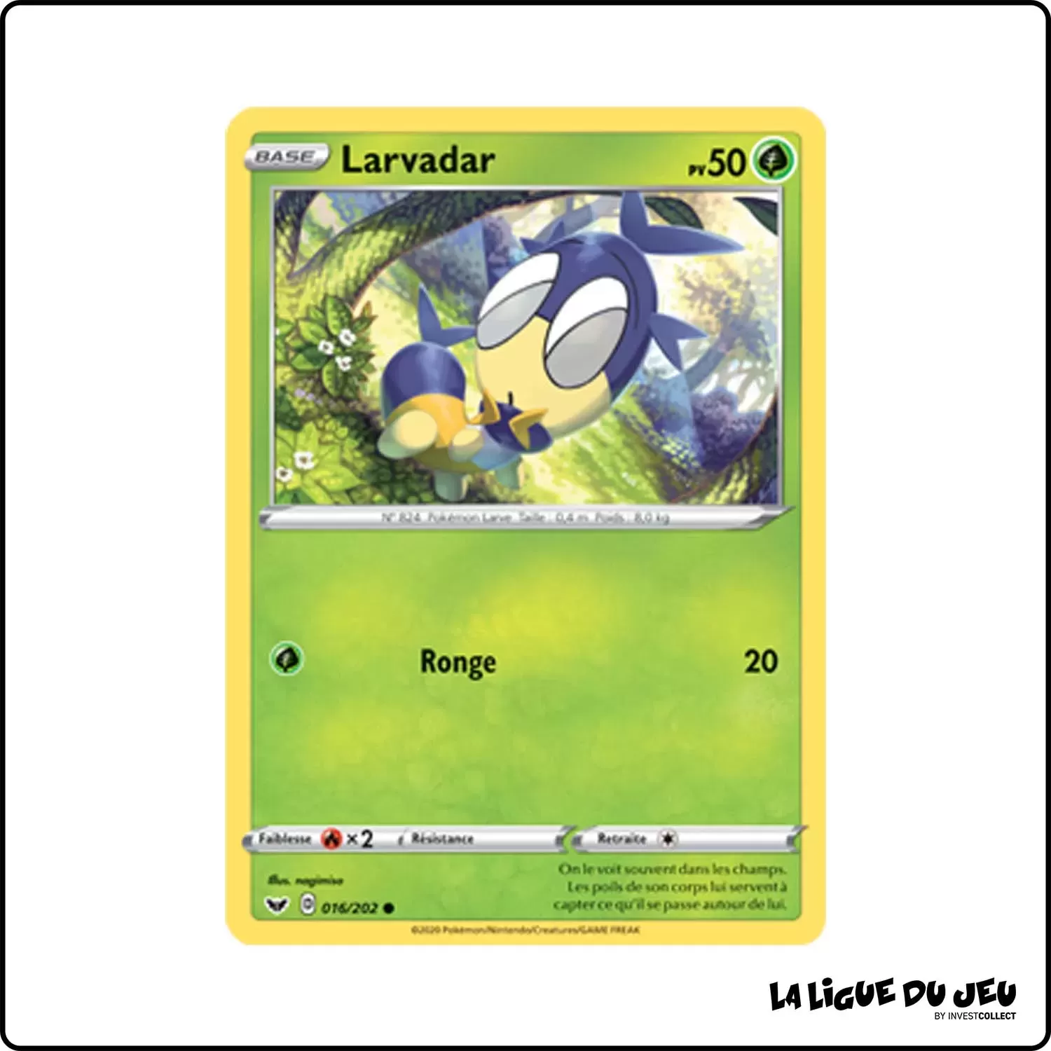 Commune - Pokemon - Épée et Bouclier de Base - Larvadar 16/202 Pokemon Company - 1