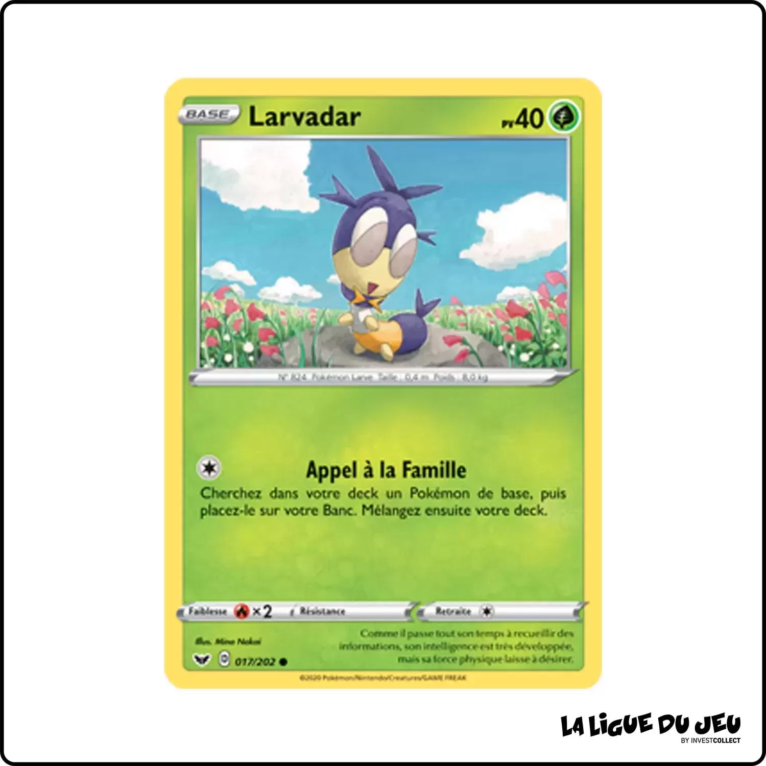 Commune - Pokemon - Épée et Bouclier de Base - Larvadar 17/202 Pokemon Company - 1