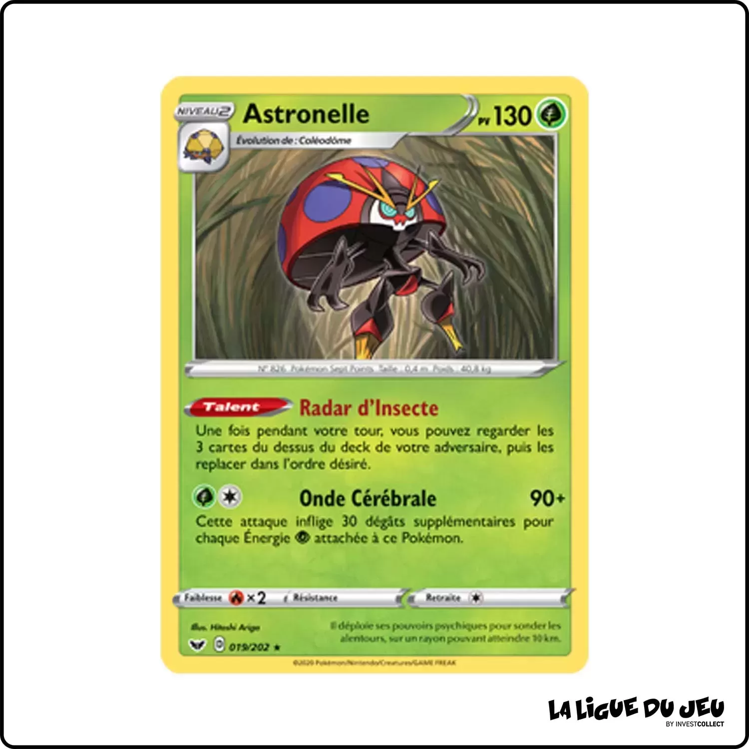 Rare - Pokemon - Épée et Bouclier de Base - Astronelle 19/202 Pokemon Company - 1