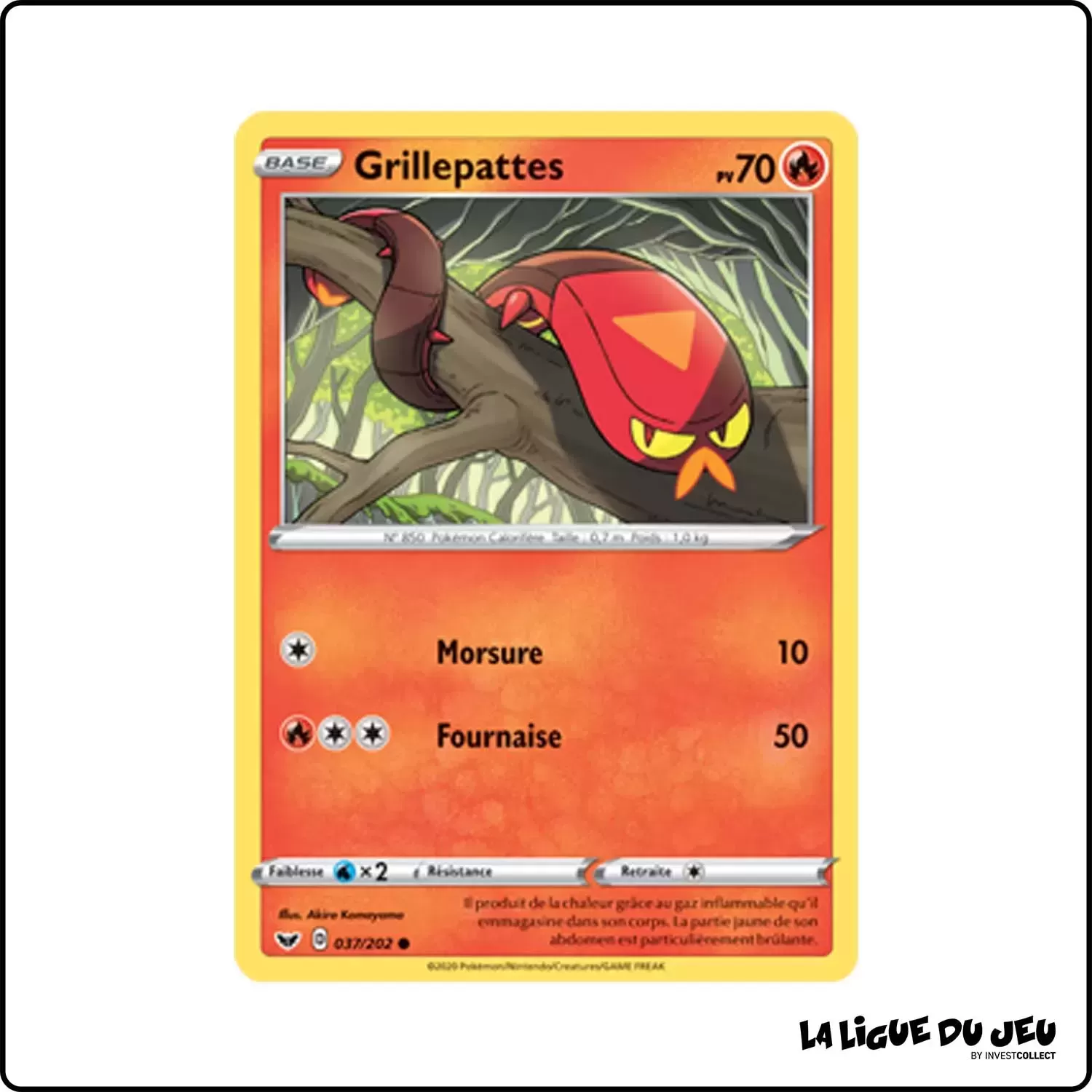 Commune - Pokemon - Épée et Bouclier de Base - Grillepattes 37/202 Pokemon Company - 1