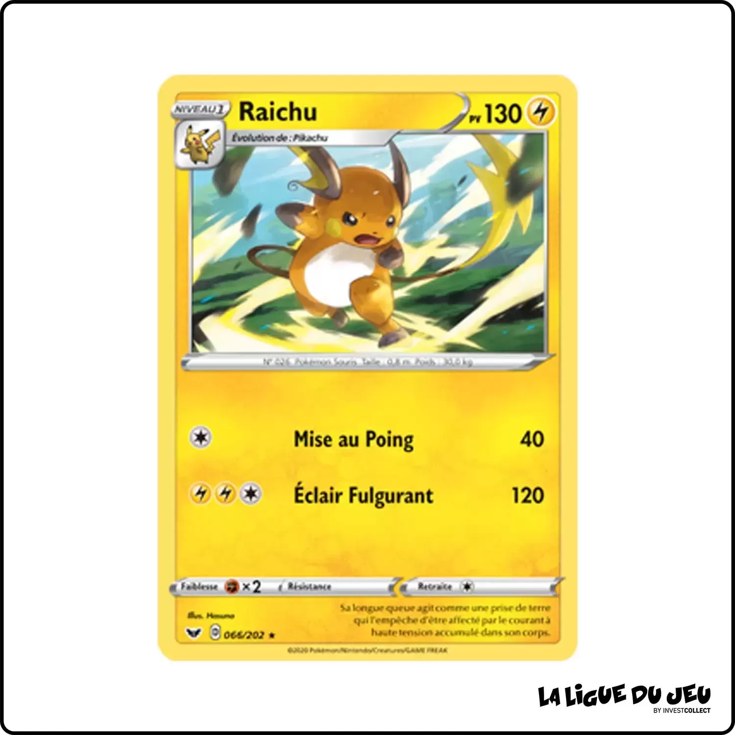 Rare - Pokemon - Épée et Bouclier de Base - Raichu 66/202 Pokemon Company - 1