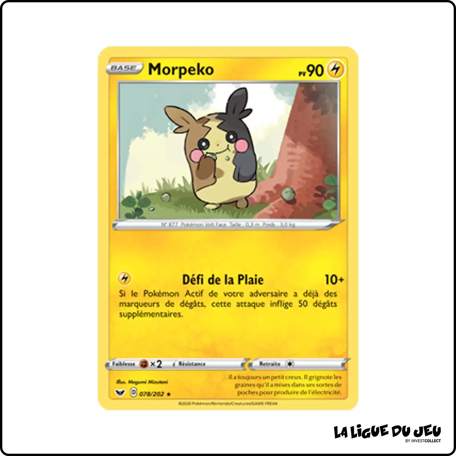 Rare - Pokemon - Épée et Bouclier de Base - Morpeko 78/202 Pokemon Company - 1