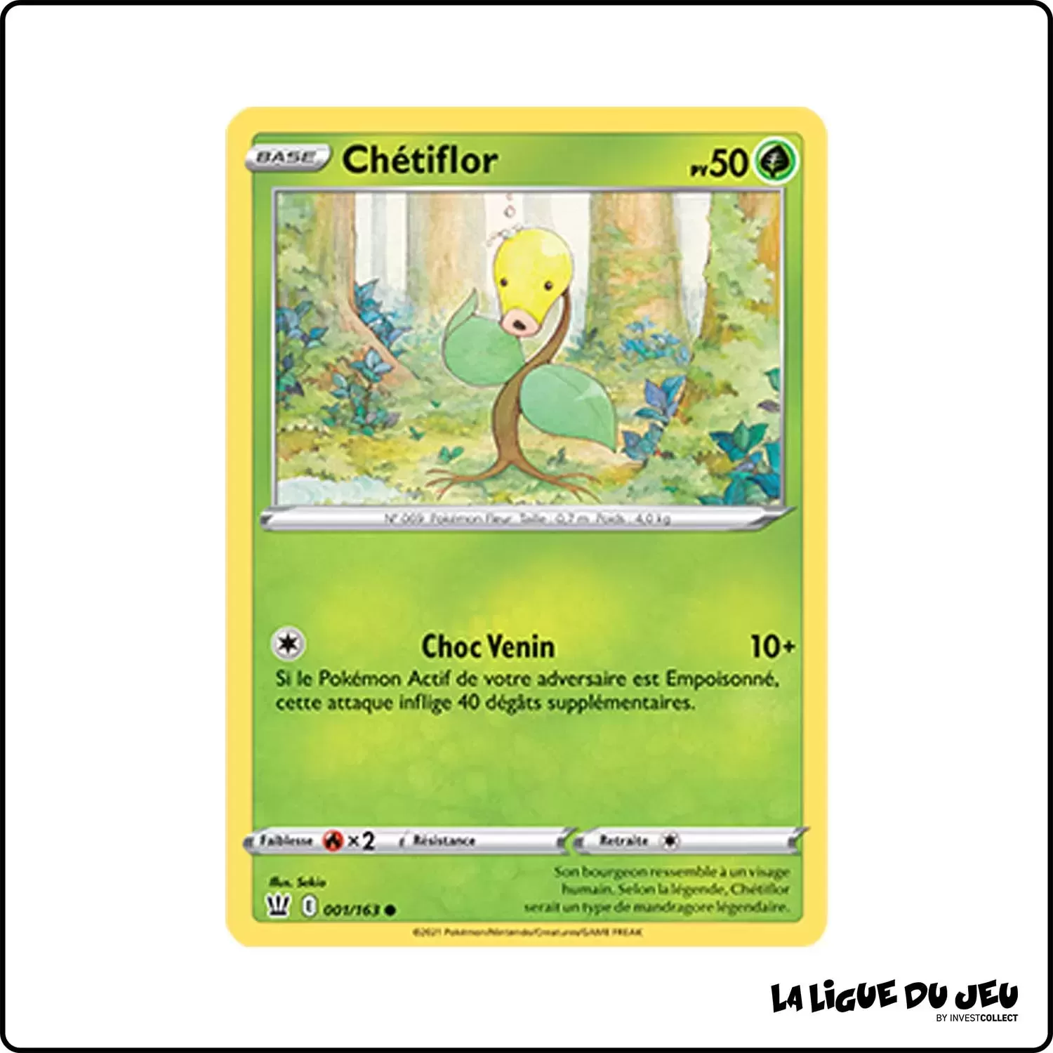 Commune - Pokemon - Styles de Combat - Chétiflor 1/163