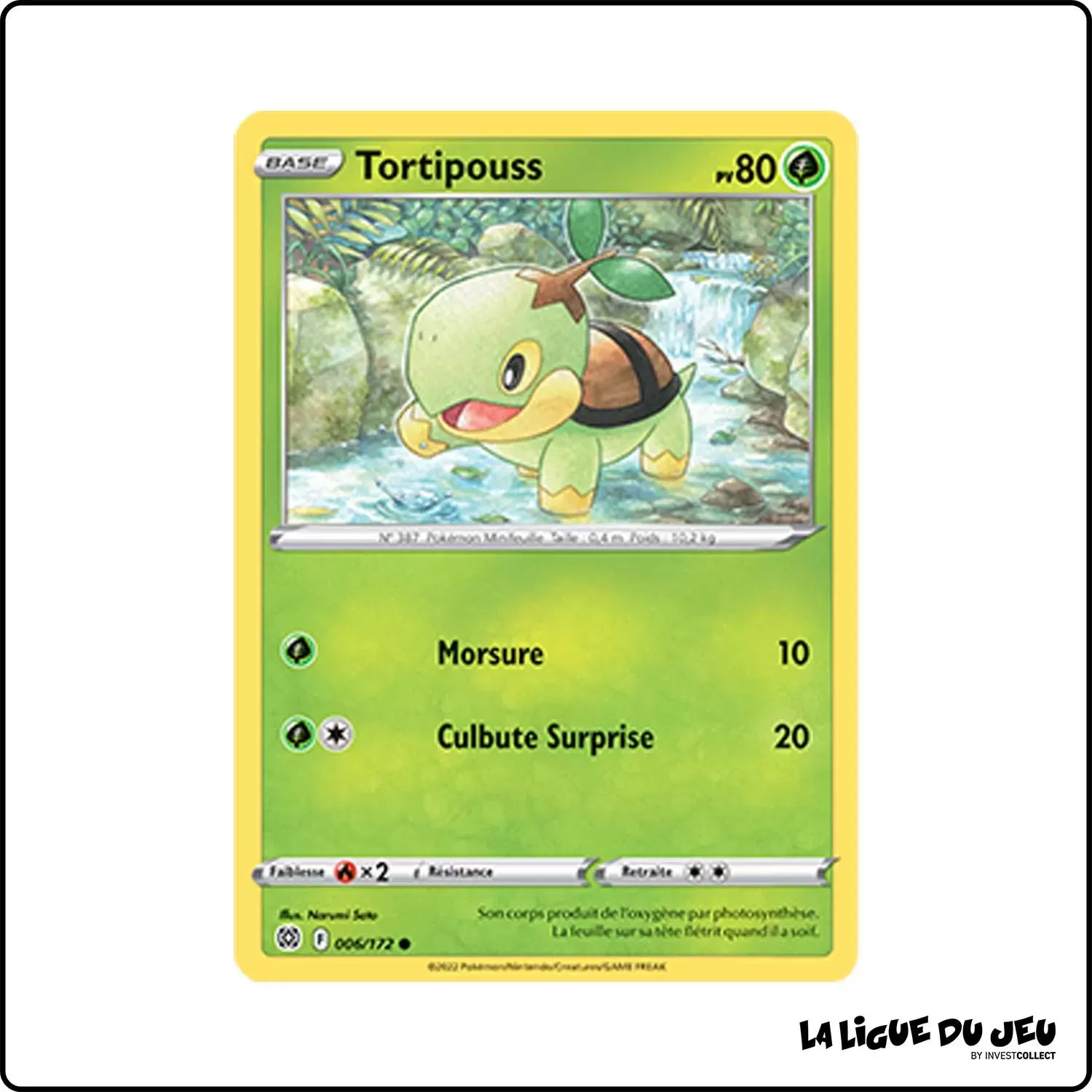 Commune - Pokemon - Stars Étincelantes - Tortipouss 6/172