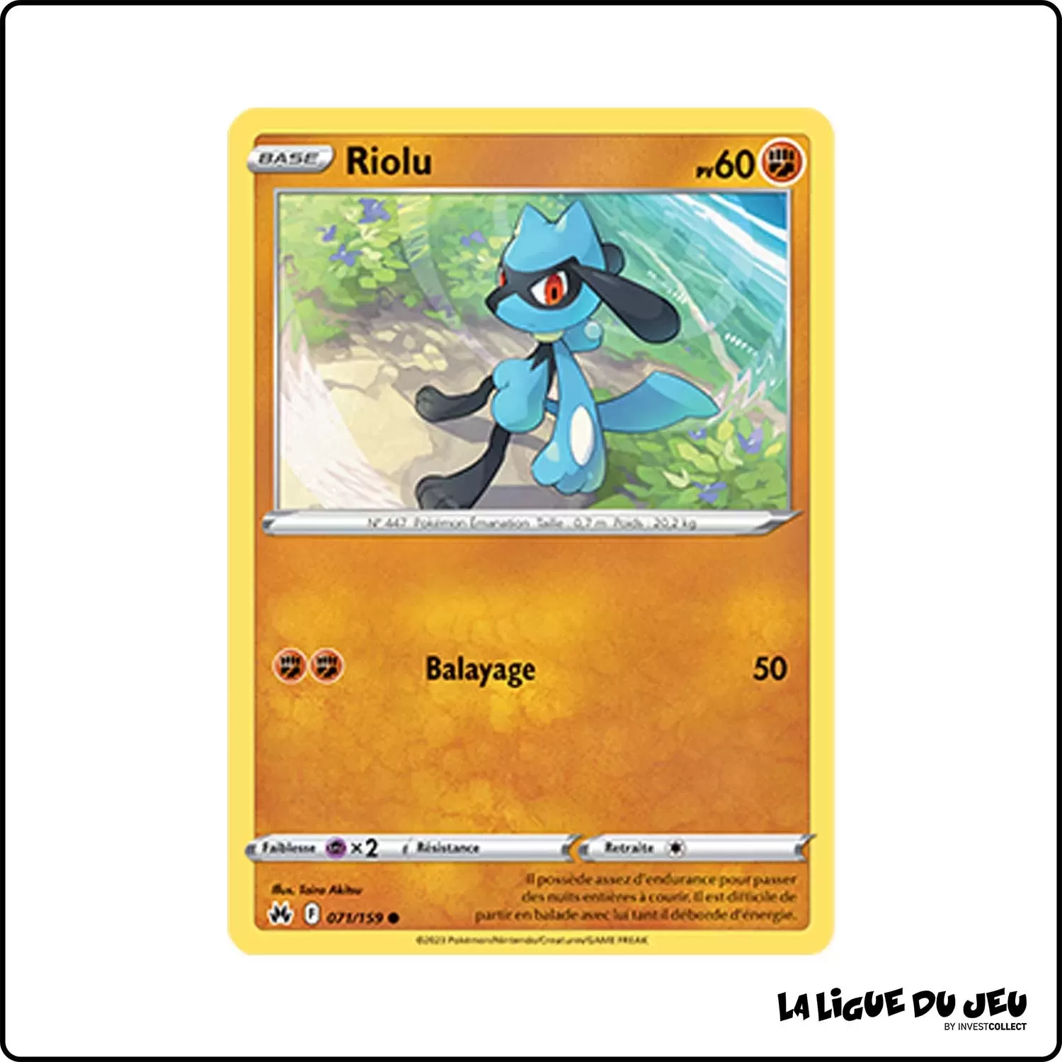 Commune - Pokemon - Zénith Suprême - Riolu 71/159 Pokemon Company - 1