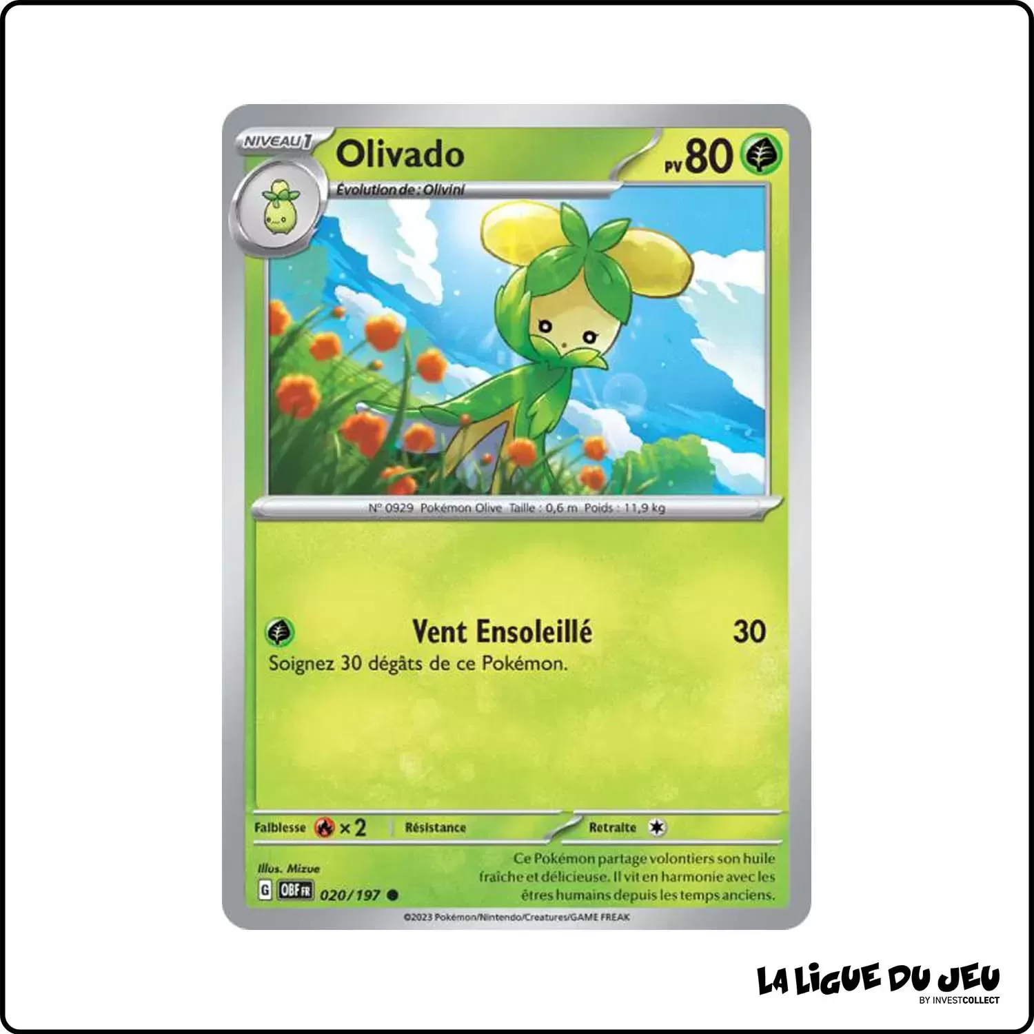 Commune - Pokemon - Flammes Obsidiennes - Olivado 20/197