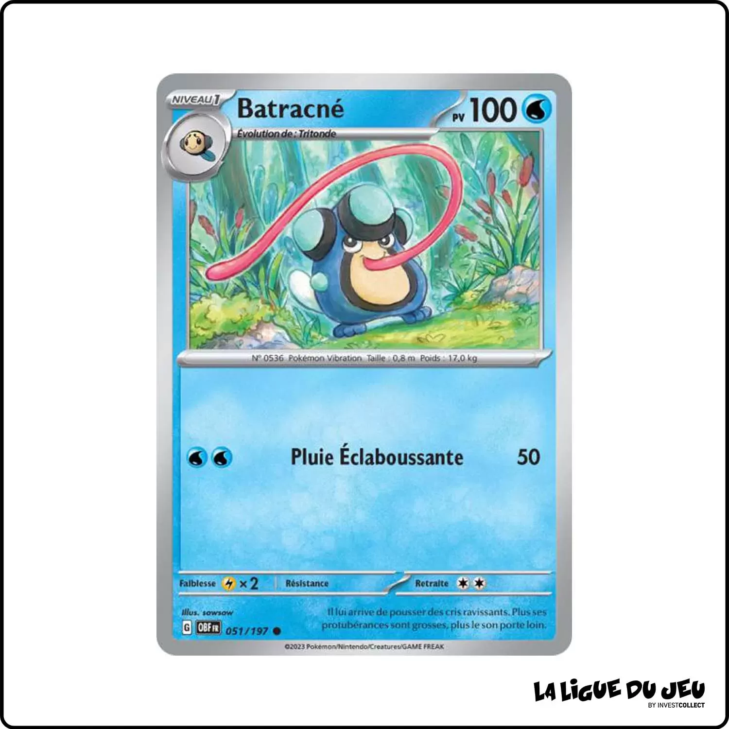 Commune - Pokemon - Flammes Obsidiennes - Batracné 51/197