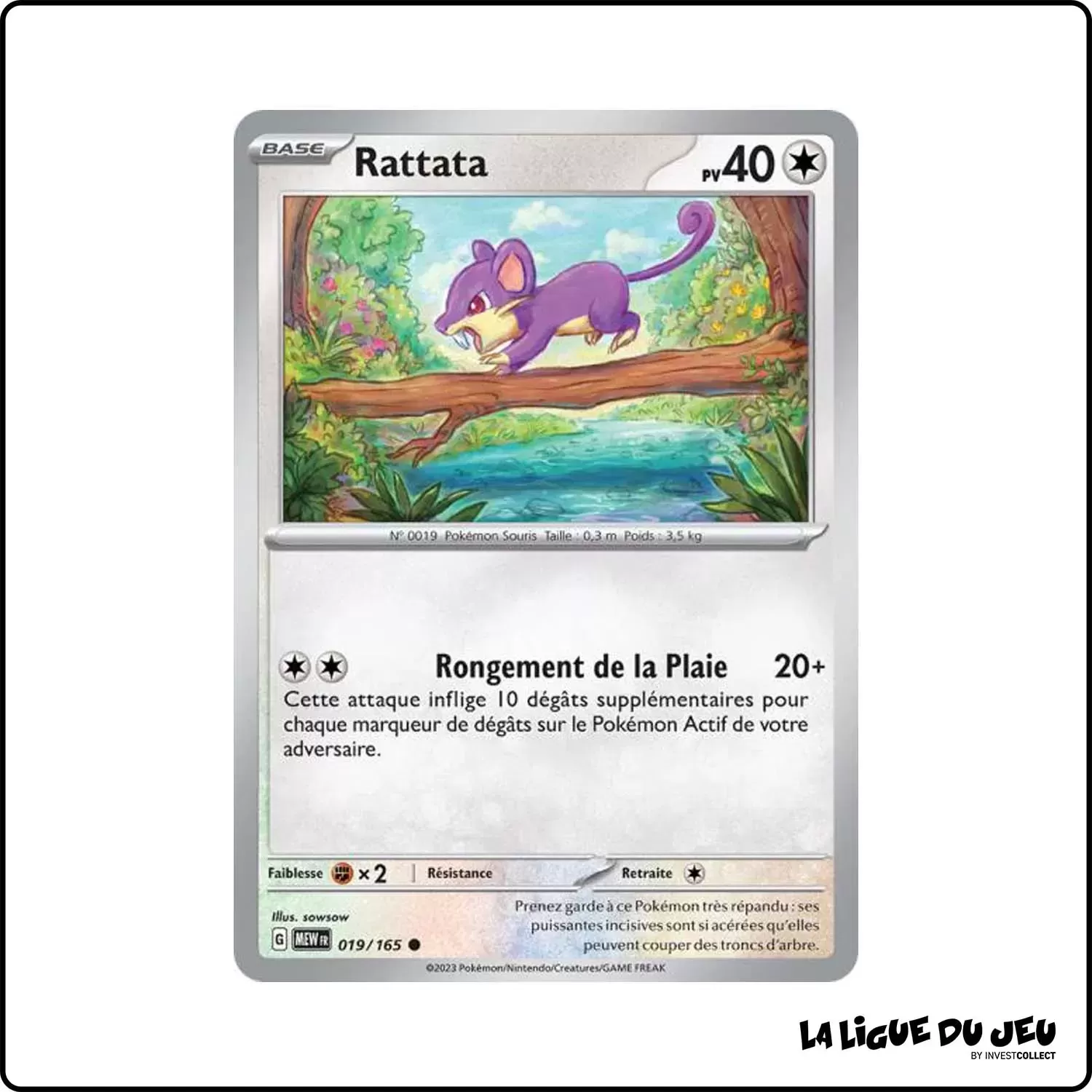 Commune - Pokemon - 151 - Rattata 19/165