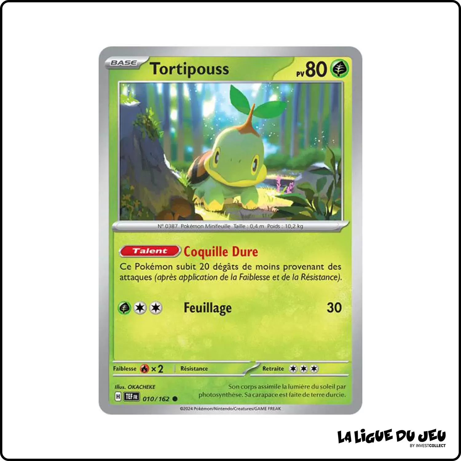 Commune - Pokemon - Forces Temporelles - Tortipouss 10/162