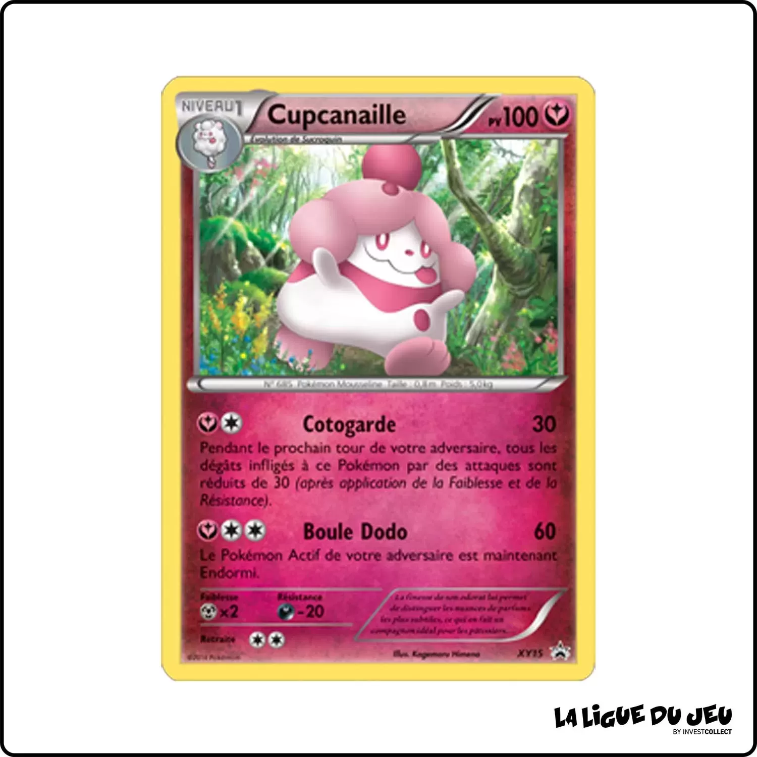 Promo - Pokemon - XY Promo - Cupcanaille XY15