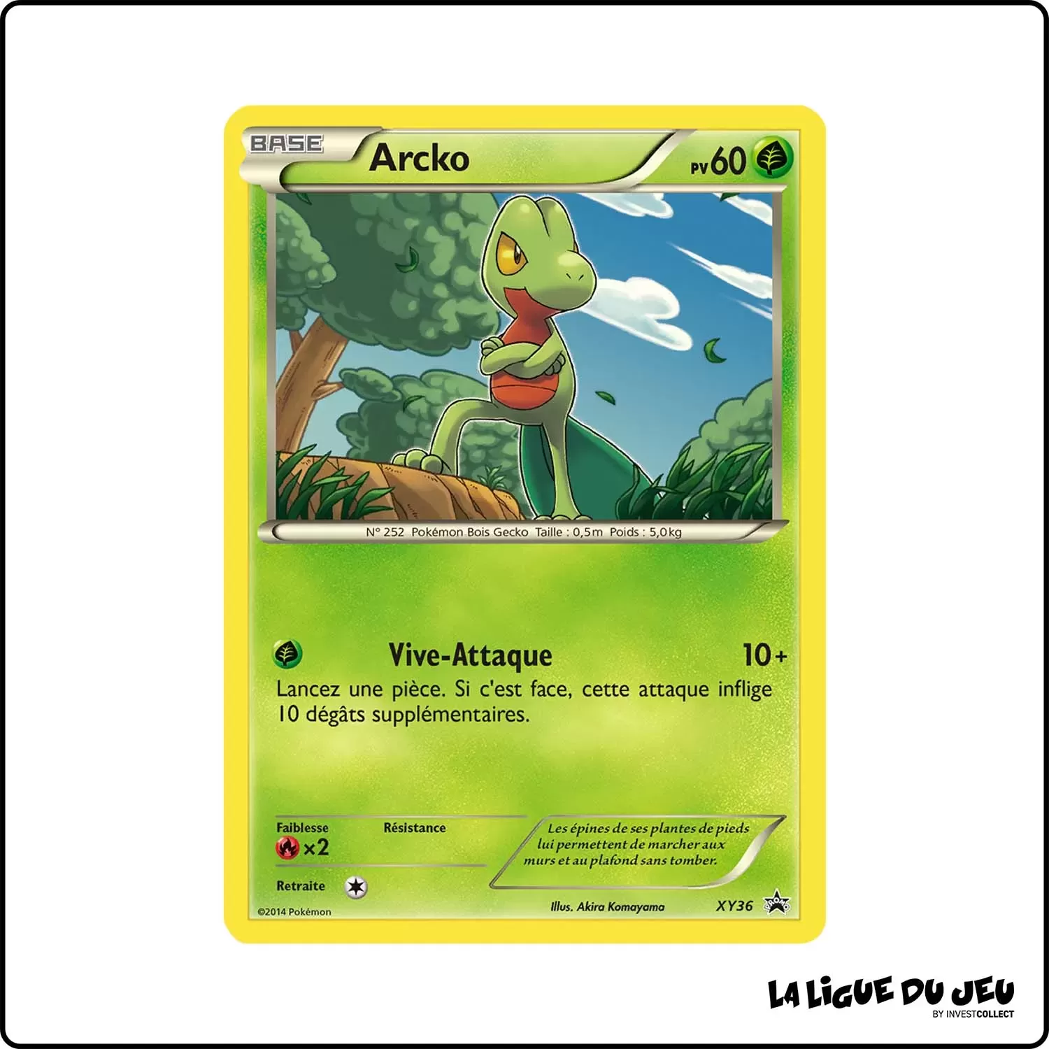 Promo - Pokemon - XY Promo - Arcko XY36