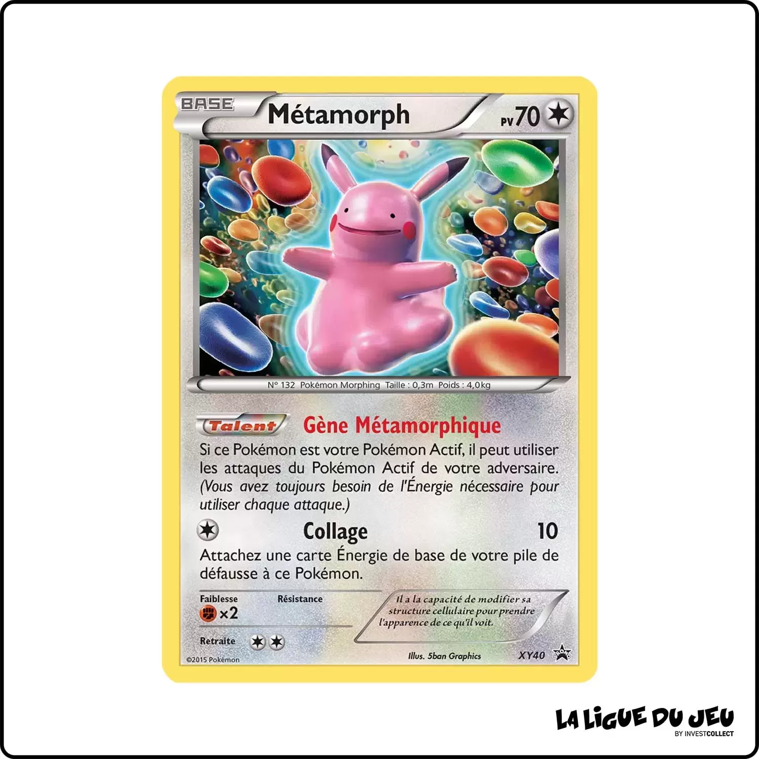 Promo - Pokemon - XY Promo - Métamorph XY40