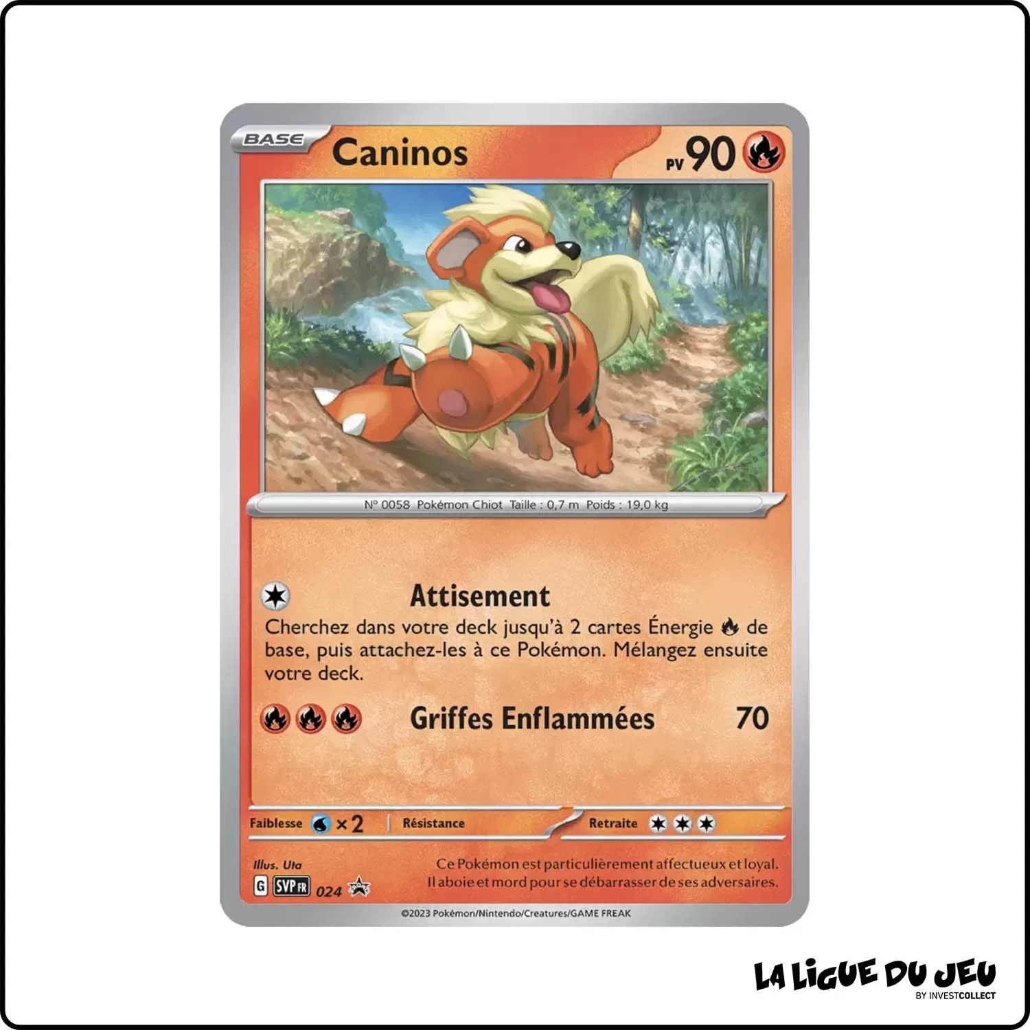 Promo - Pokemon - Écarlate et Violet Promo - Caninos SV024