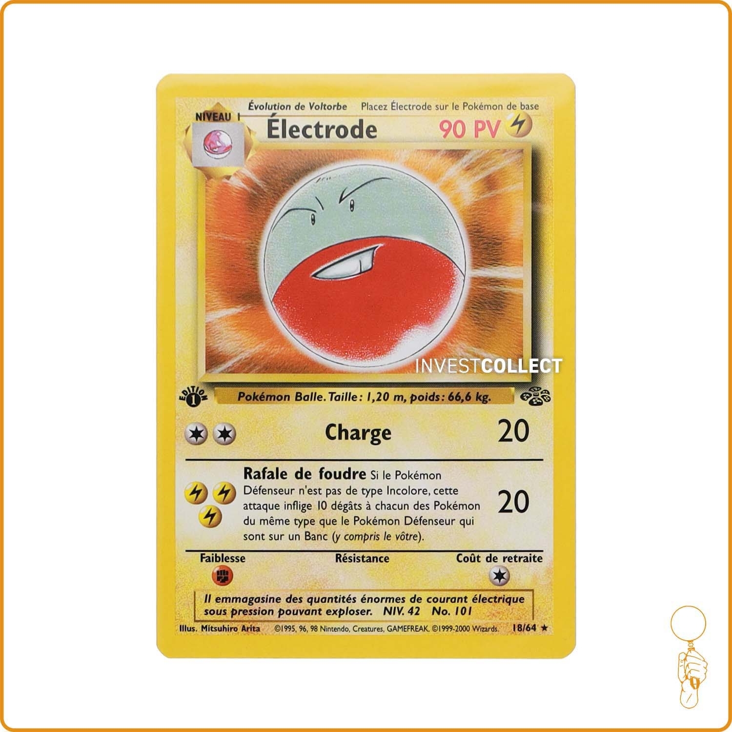 Rare - Pokemon - Jungle - Électrode 18/64 Wizards - 1