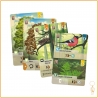 Gestion - Jeu de Cartes - Forêt Mixte Lookout Games - 2