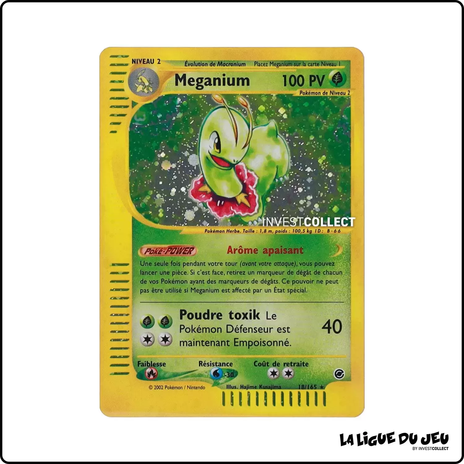 Holo - Pokemon - Expedition - Meganium 18/165 Wizards - 1