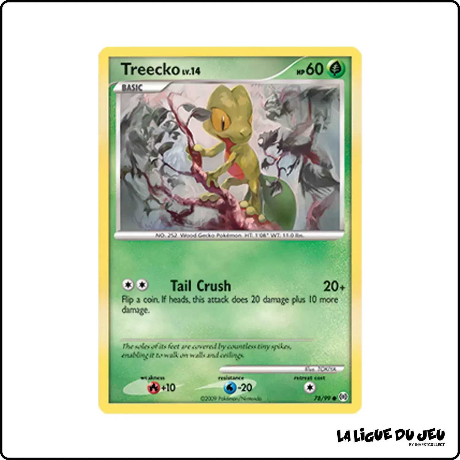 Commune - Pokemon - Arceus - Treecko 78/99 Pokemon Company - 1