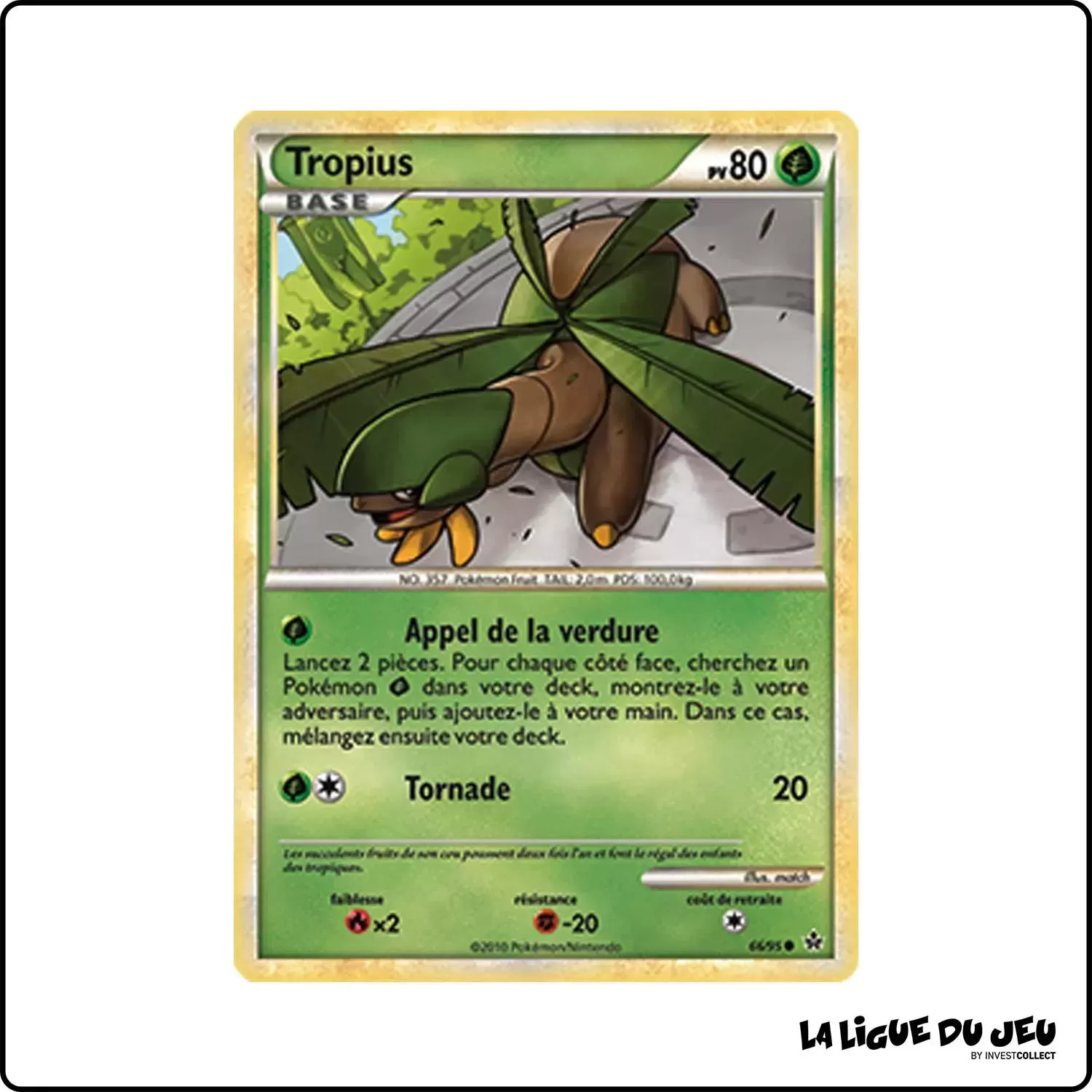 copie de Commune - Pokemon - Déchaînement - Tropius 66/95 Pokemon Company - 1