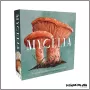 Mycelia