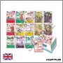 Set Exclusif - Digimon Card Game - Premium Heroines Set - PB18 - Scellé - Anglais