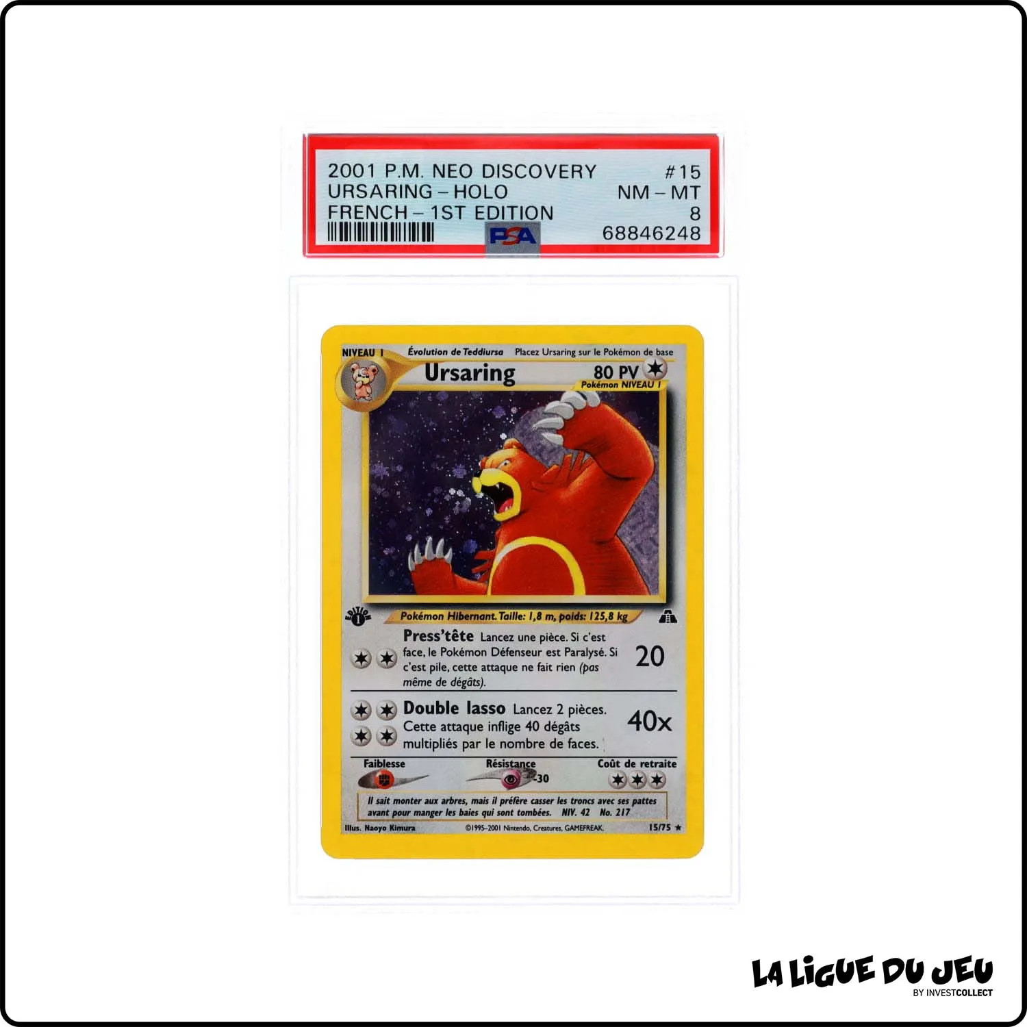 Holo - Pokemon - Neo Discovery - Ursaring - 15/75 - 1er édition - PSA 8 - Français