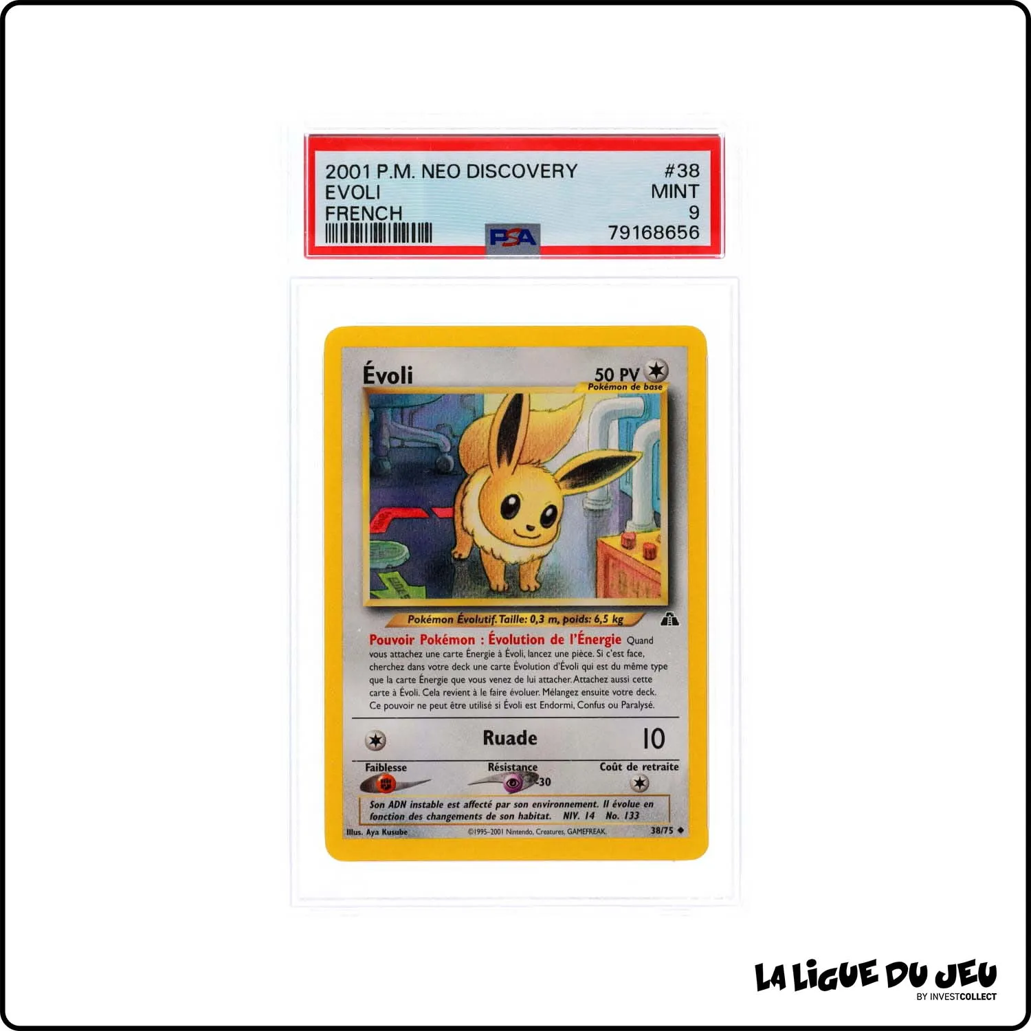 Peu Commune - Pokemon - Neo Discovery - Évoli - 38/75 - Unlimited - PSA 9 - Français