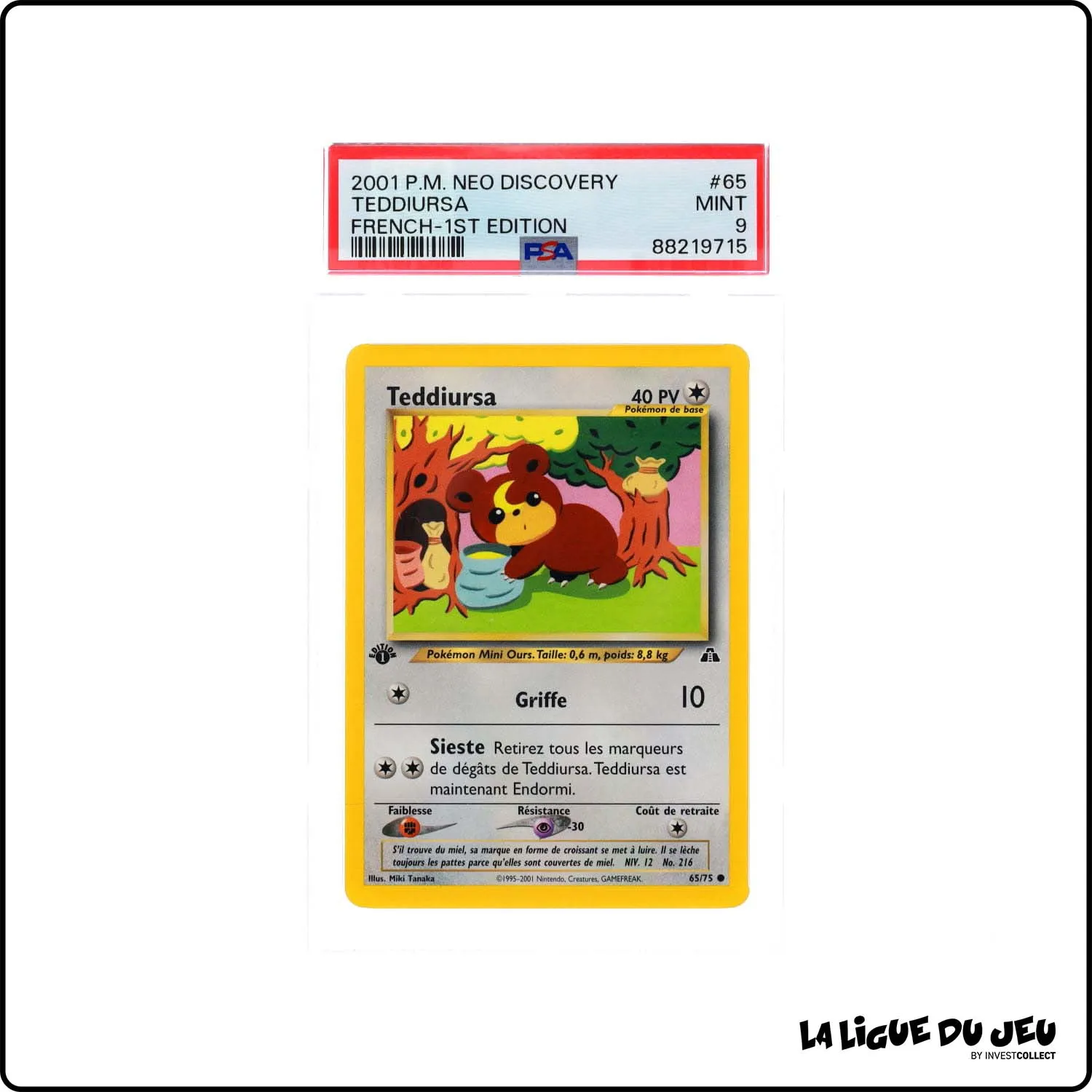 Commune - Pokemon - Neo Discovery - Teddiursa - 65/75 - 1er édition - PSA 9 - Français