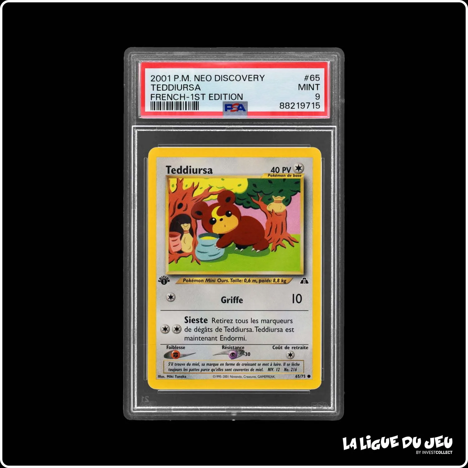 Commune - Pokemon - Neo Discovery - Teddiursa - 65/75 - 1er édition - PSA 9 - Français