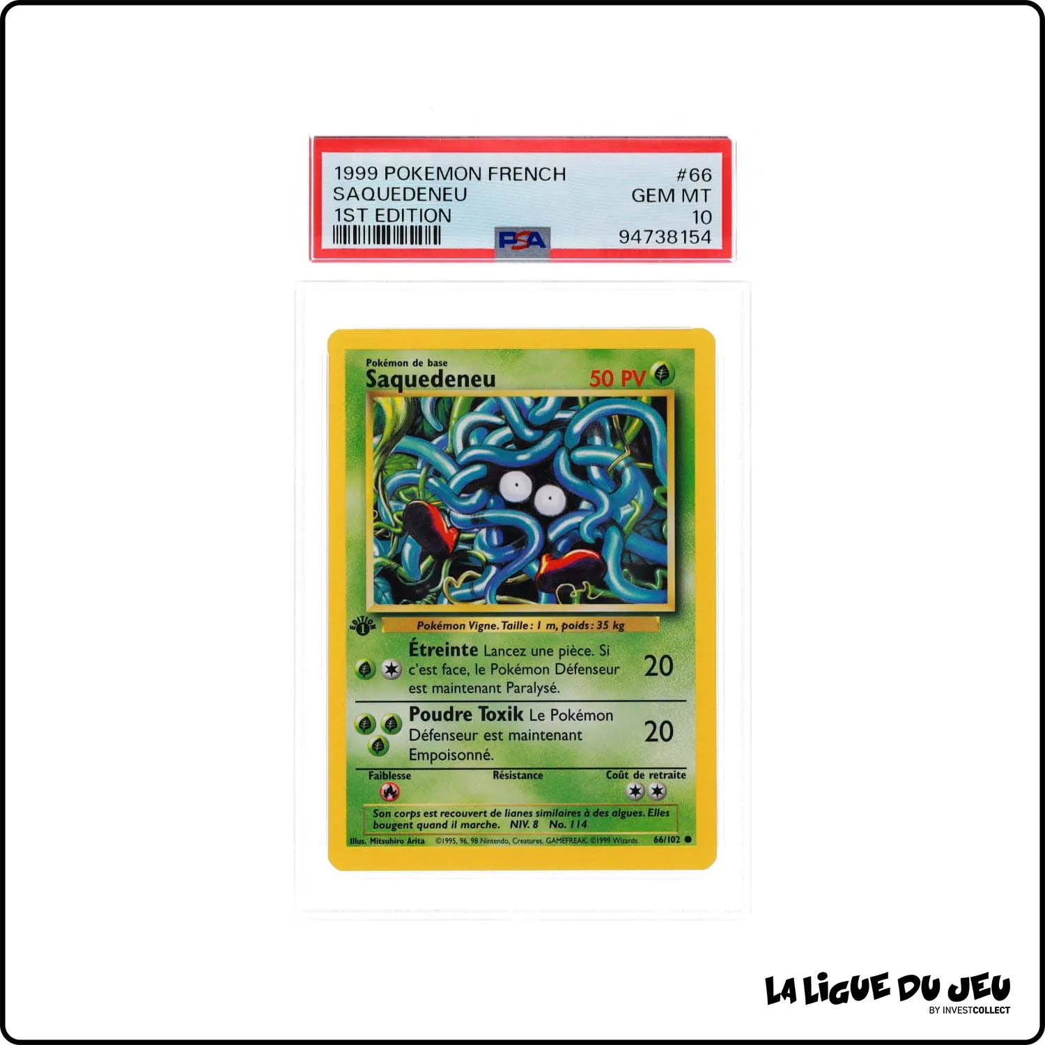 Commune - Pokemon - Set de Base - Saquedeneu 66/102 - 1er édition - PSA 10 - Français