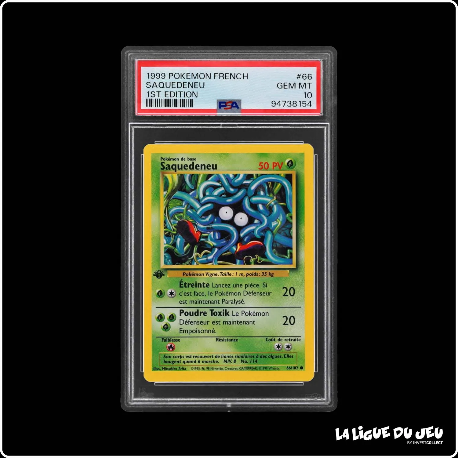 Commune - Pokemon - Set de Base - Saquedeneu 66/102 - 1er édition - PSA 10 - Français